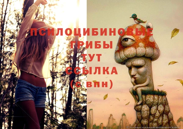 МДМА Бородино