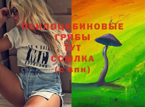 ПСИЛОЦИБИНОВЫЕ ГРИБЫ Бронницы